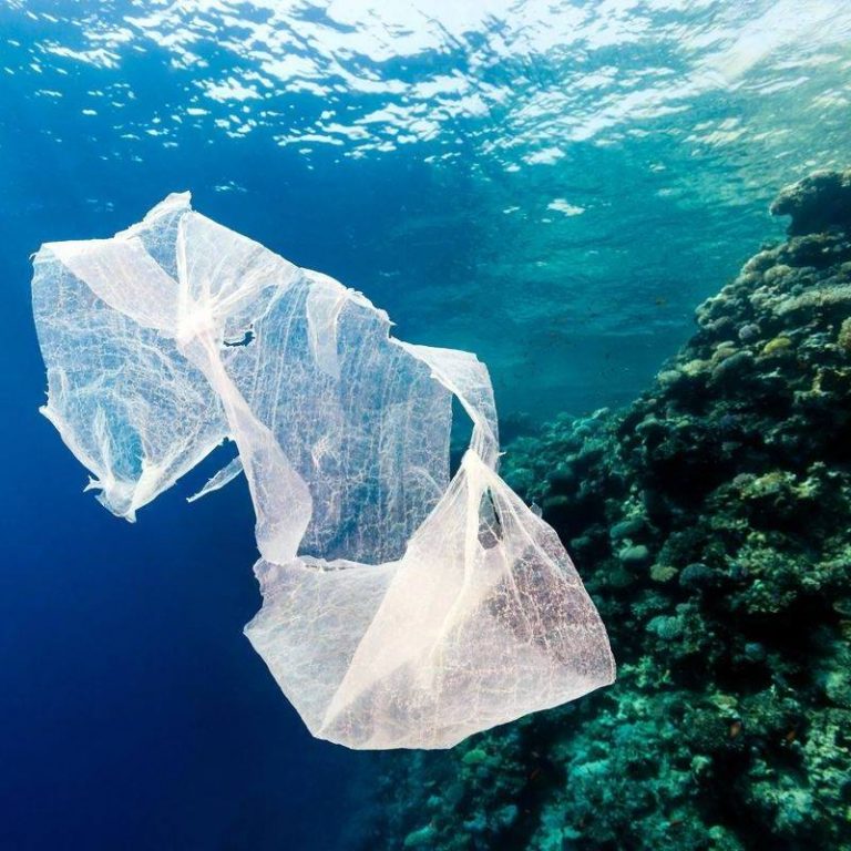 This Woman Invented a New Kind of Plastic That Can Biodegrade in Water